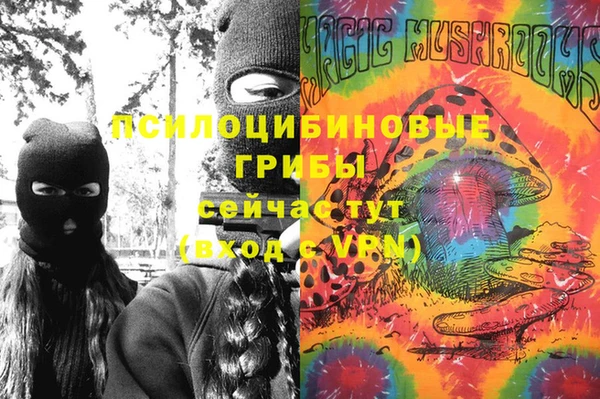 СК Аркадак