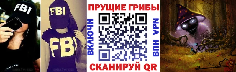 Псилоцибиновые грибы Psilocybe  Почеп 